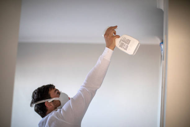  Elizabeth City, NC Mold Removal Pros