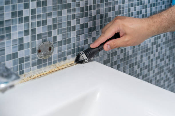 Professional Mold Removal in Elizabeth City, NC
